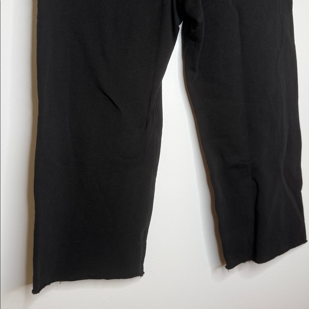Frank & Eileen Catherine Favorite Sweatpant 24” black crops size large - Picture 9 of 11